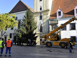 Bratislava za New Yorkom nezaostáva: Už čoskoro sa budeme pýšiť vianočným stromčekom