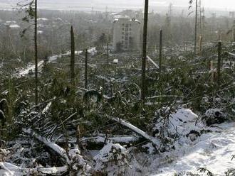 Od ničivej kalamity v Tatrách uplynulo už 11 rokov: Dnes tu vyrastá nový les