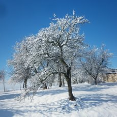 Zimní radovánky na zahradě