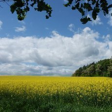 Za hranice velkoměsta - Břežanské údolí a hradiště na Závisti