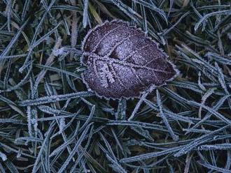 Meteorológovia varujú pred mrazom: Počasie sa zbláznilo, teploty klesnú pod nulu!