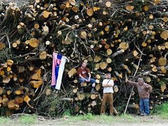 Čaká Slovensko environmentálna katastrofa? EÚ chce financovať ťažbu v chránených oblastiach!