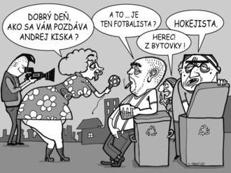 KARIKATÚRA Kiska rok v funckii