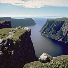 Newfoundland – drsný klenot Kanady