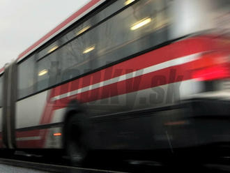 Dovolenkujte vo Viedni: Autobusový dopravca ponúka k lístku bezplatné MHD