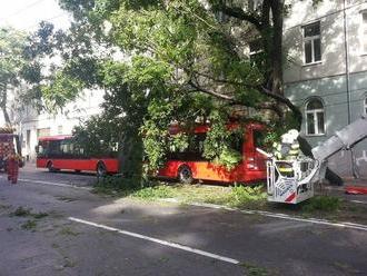 Dráma v Bratislave: FOTO Na autobus plný ľudí spadol strom