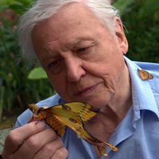 David Attenborough a jeho legendární dokumenty na Prima ZOOM