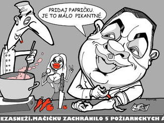 KARIKATÚRA Drogy v televízii