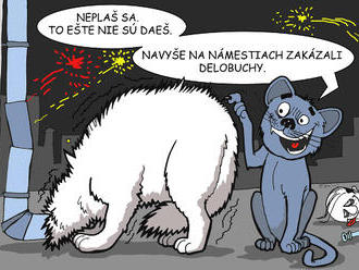 KARIKATÚRA Ohňostroj na Nový rok