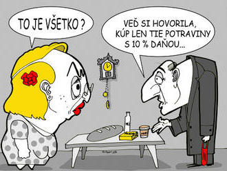 KARIKATÚRA Ficova urážka chudoby