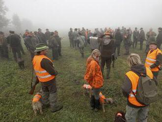 Divoká prasata v Plzni potrhala myslivcům psa: Kvůli oběšenci útočila i na policisty