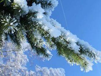 V noci padl teplotní rekord, na Šumavě naměřili minus 20 stupňů