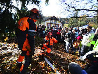 Do Prahy míří vánoční strom. V Podkrkonoší ho pokáceli, práce na místě pokračují