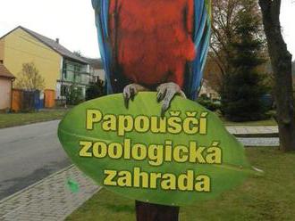 V papouščí zoo si už opeřenci užívají zimní dovolenou. Lidem se ukážou ještě týden před Vánocemi