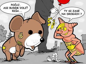 KARIKATÚRA Volebné halucinácie