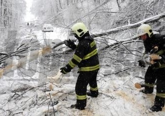 V. TATRY: Víchrica v Tatrách opäť lámala stromy