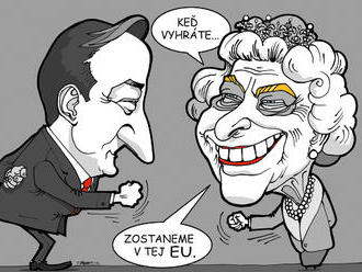 KARIKATÚRA Osud Británie je vo hviezdach