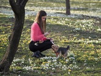 Konec pracovního týdne proprší. Víkend ale slibuje teploty kolem 18°C