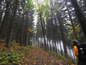 Vtipné FOTO s EXTRASUPER sviňami: Varovanie pre turistov, z ktorého sa dvíha žalúdok