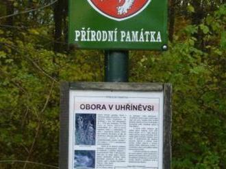 V uhříněveské přírodní památce Obora vysadí duby a opraví chodníky: Hotovo by mělo být do léta