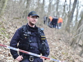 Záhadné úmrtí na Mladoboleslavsku: U cesty našli mrtvolu, vedle ní těžce zraněného