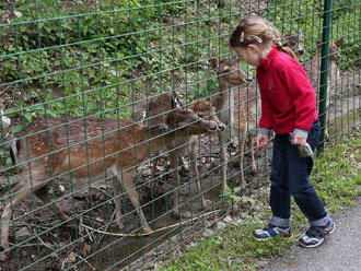 FOTO Veľké zmeny v ZOO Košice: Na návštevníkov čakajú nové zvieratká