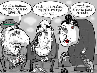 KARIKATÚRA Nezvestný Robert