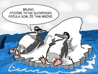 KARIKATÚRA Globálne oteplovanie