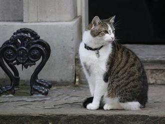 Cameron se loučí s Downing Street. Premiérský kocour Larry ale zůstává