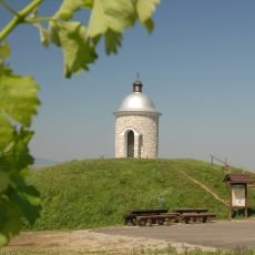 Víno nebo vinný nápoj? Nenechte se napálit ve vinotéce