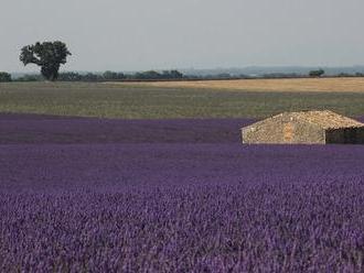 Provence, ráj milovníků vůně levandule a přírodních krás