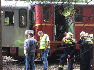 Srážka vlaků na Jindřichohradecku: Mezi zraněnými jsou děti