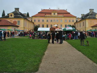 Černínský Krásný Dvůr je zaplaven velkou smečkou šlechtických psů