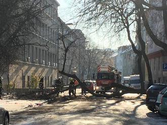 FOTO Bratislavčanov čakalo prebudenie ako zo zlého filmu: Incident za incidentom