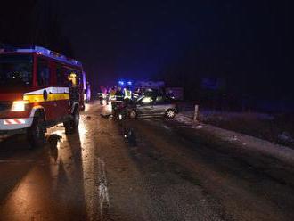 FOTO Tragédia pri Trnave: Vodička   dostala šmyk, dieťa ratovali  , Albín   zahynul