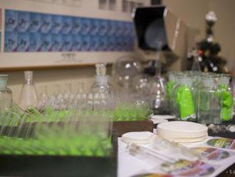 Slovenská chémia pokračovala počas prvého polroka v rastovom trende