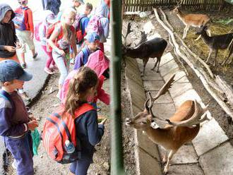 Košická zoo dnes privítala 200-tisíceho návštevníka