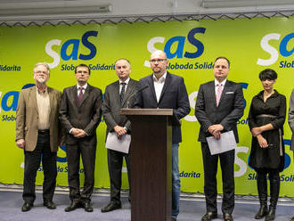 SaS vyzýva vládu, aby prerokovala Istanbulský dohovor a doručila ho parlamentu