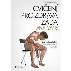 Cvičení pro zdravá záda - anatomie