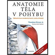 Anatomie těla v pohybu