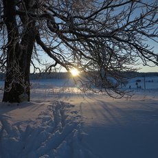 Národní klenoty II - Krušné hory – Krajina horníků