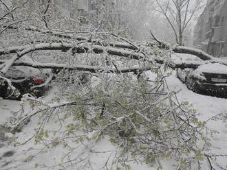 Kalamita v Jihočeském kraji: Neprůjezdné silnice, sníh a popadané stromy