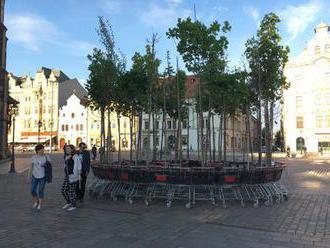 Plzeň ožila Landscape festivalem: Vyrostl tu pohádkový les, kde se v noci hýbou stromy