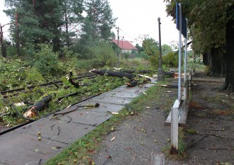 Hasiči v Prešovskom kraji odstraňovali vyvrátené stromy