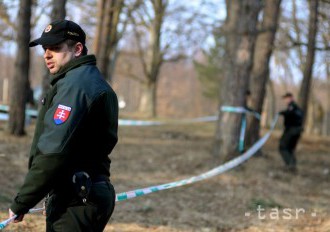 Vojaci, policajti aj hasiči si precvičia vzájomnú spoluprácu