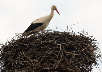 Chorvátsky park Kopački rit je európsky prírodný unikát