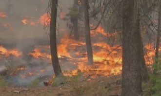 Hasiči v Chorvátsku a Č. Hore zapásia s požiarmi na jadranskom pobreží