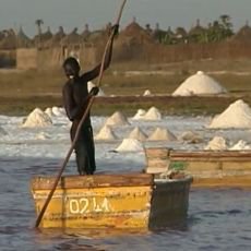 Cestománie: Senegal - Ve stínu baobabu