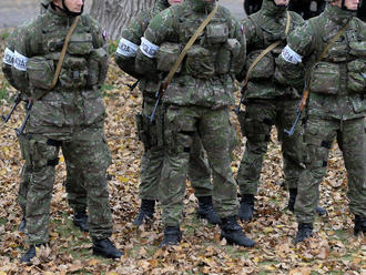 Dunaj zažil cvičenie policajtov: Pripravovali sa na prípadný teroristický útok