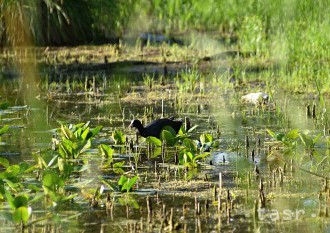 Českí poslanci schválili na piaty pokus parížsku klimatickú dohodu